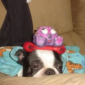 Meet your Posher, Debbie